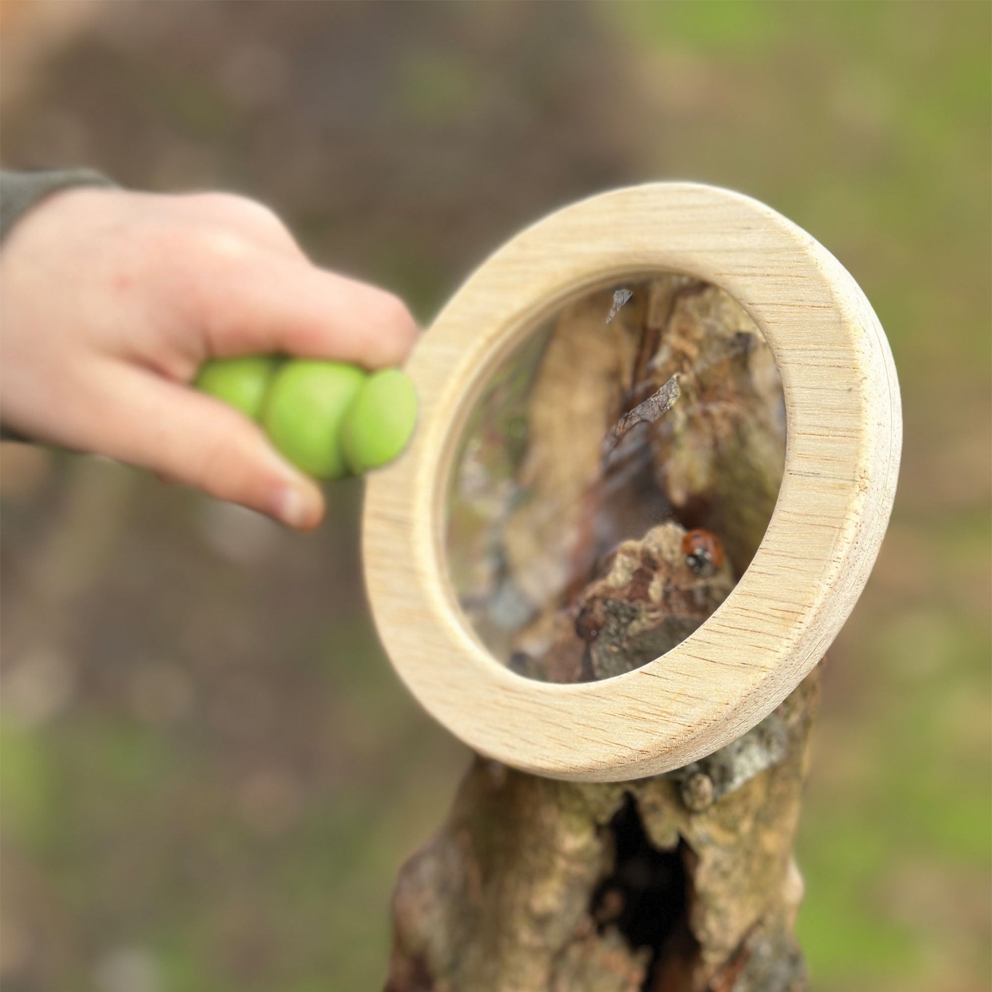 Wooden camera and spotter cards laid out for pretend wildlife photography