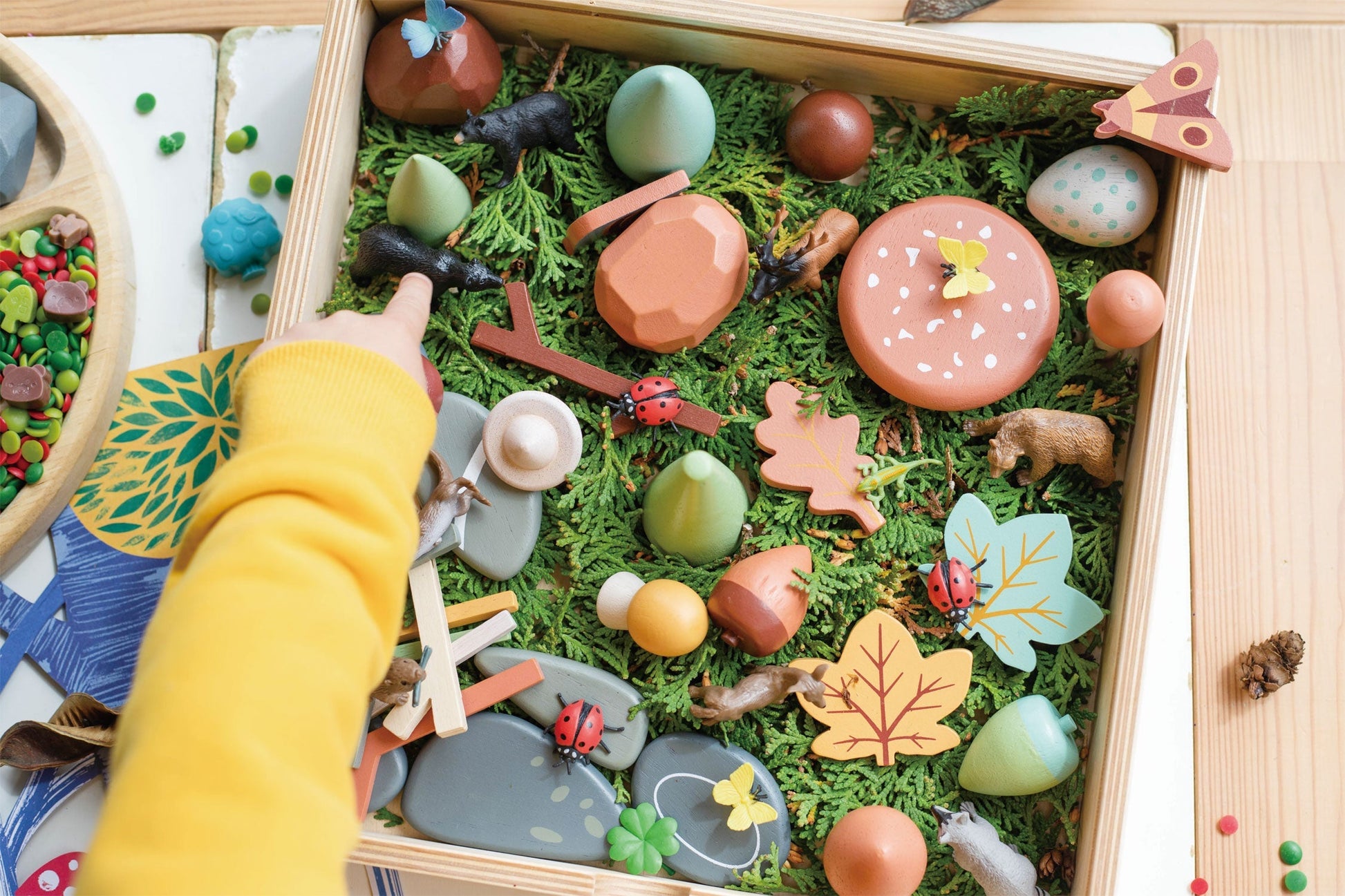 Child's hand placing a wooden tree into the forest floor tray
