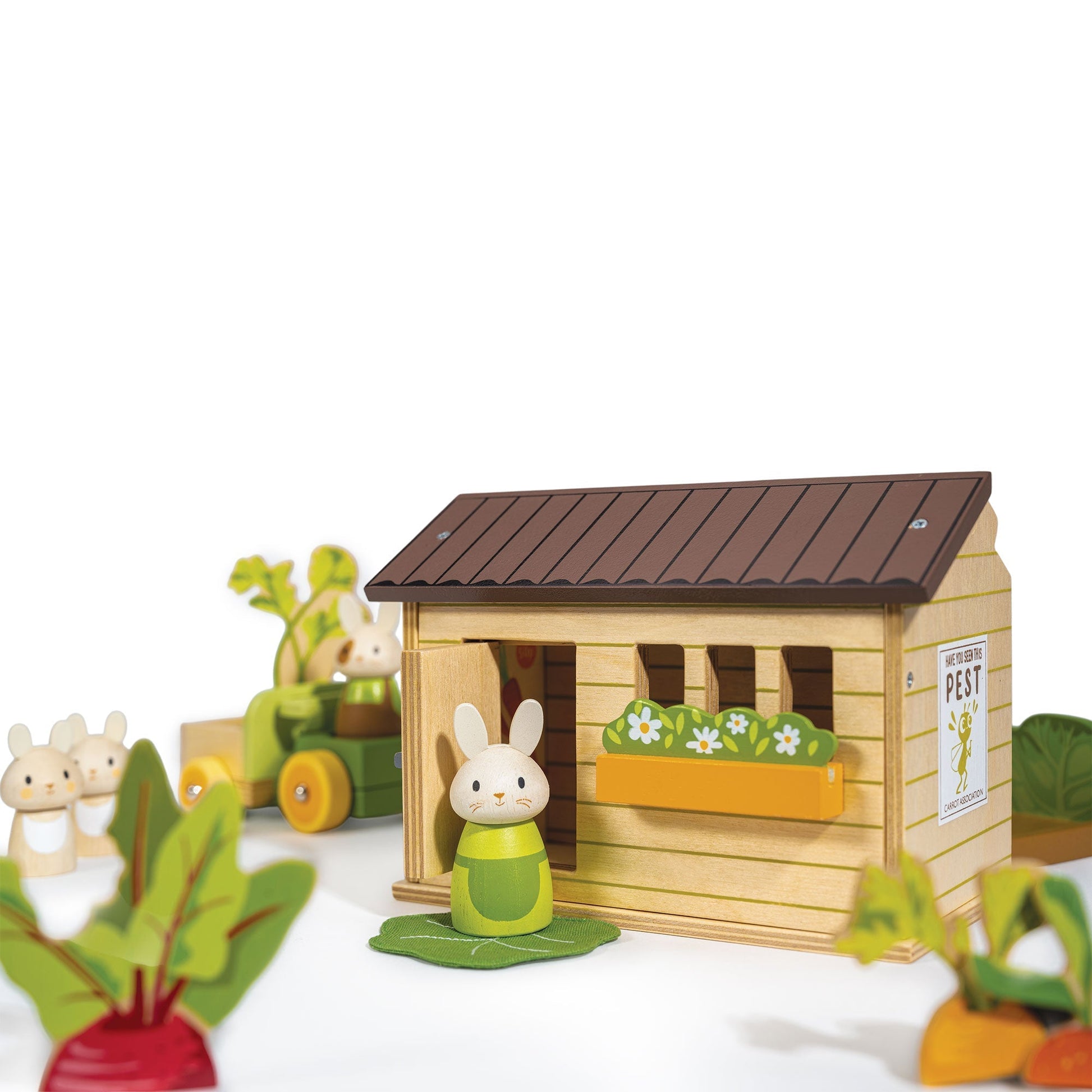 Carrots, turnips and beetroots arranged in the wooden vegetable beds