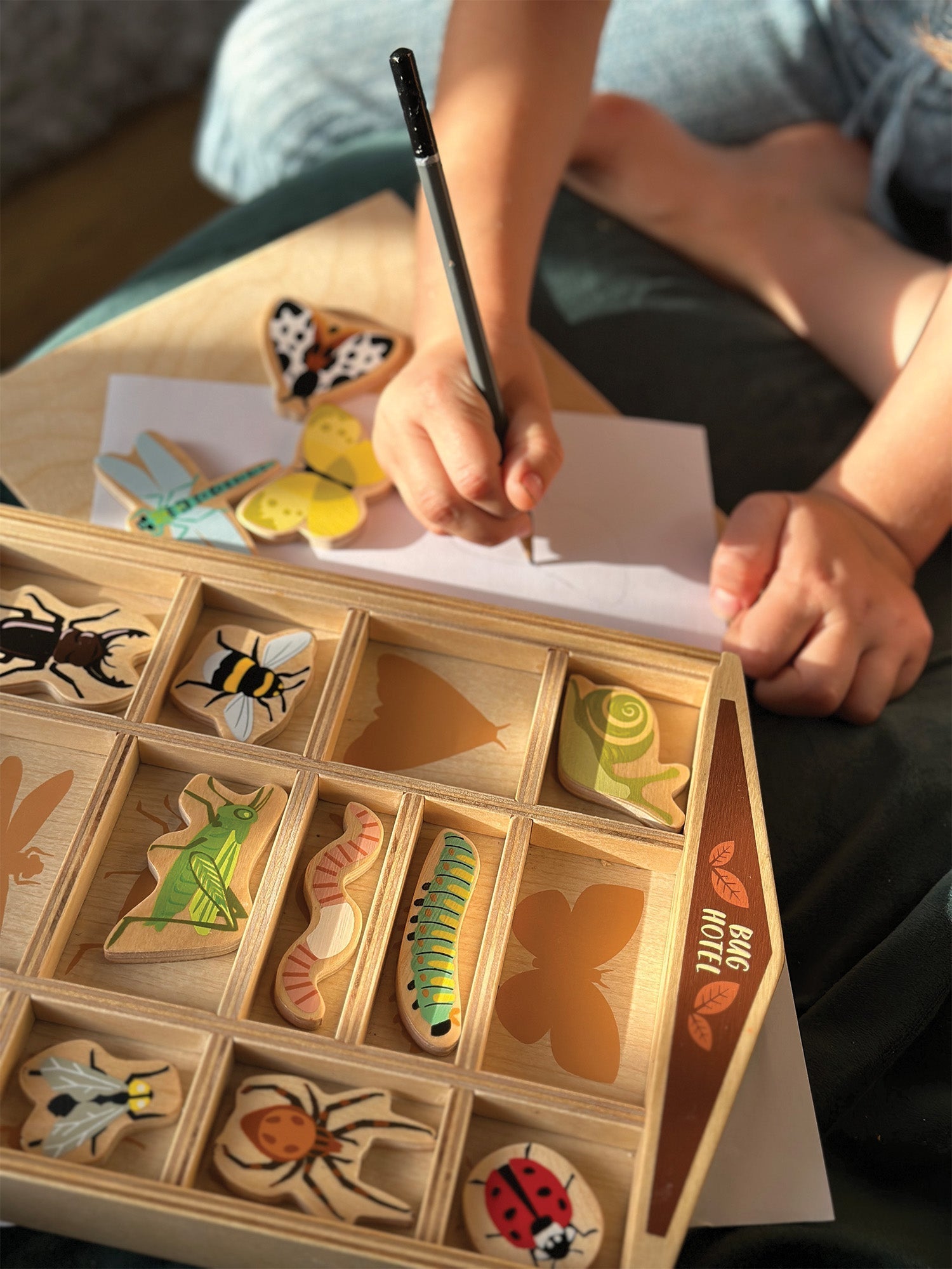 Field-guide hand-lettering on each bug name plate
